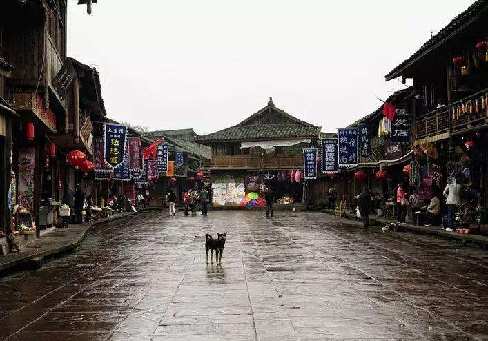 二级建造师没注册能查到吗- 你的专业问答平台